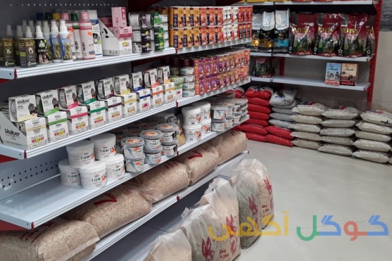پت شاپ لوسی پت