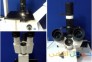 خرید فروش تعمیر میکروسکوپ اینورت کشت سلولی کارل زایس آلمان