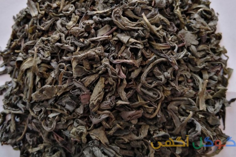 چای سبز دامون لاهیجان 