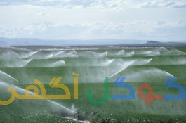 زمین کشاورزی هشت و نیم هکتار بارانی - همدان (اسدآباد )