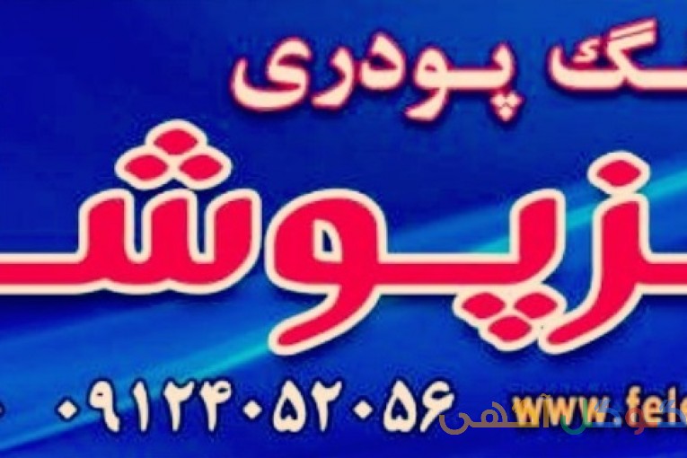 خدمات رنگ پودری
