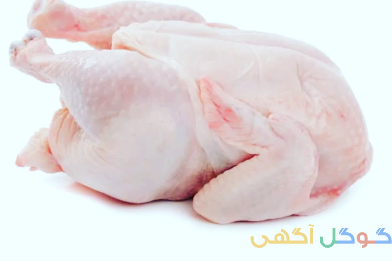 پخش مرغ و آلایش شمال کشتار روز (عمده-تعداد)