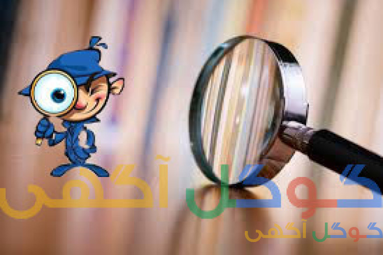 موسسه کاراگاه خصوصی