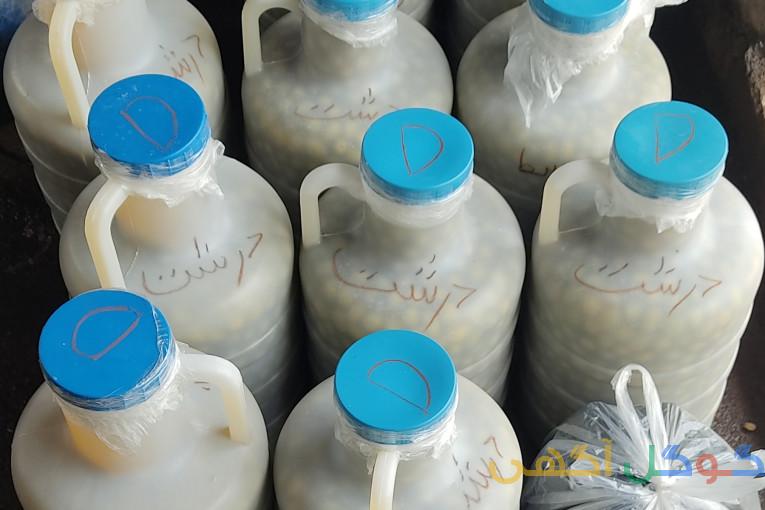 فروش زیتون و روغن زیتون ارسال به سراسر کشور