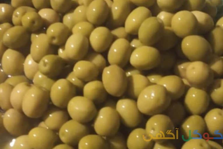 فروش زیتون و روغن زیتون ارسال به سراسر کشور