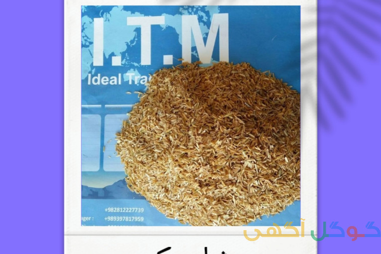 شلتوک برنج
