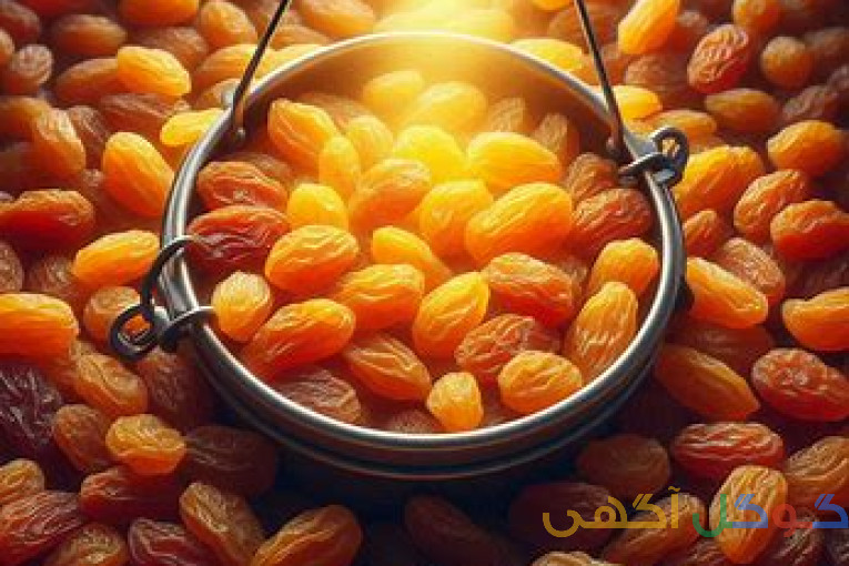 تامین و فروش عمده کشمش تیزآبی آفتابی(پلویی)