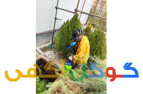 شرکت سمپاشی زرین پیشتازان آران (زودکُش)