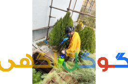 شرکت سمپاشی زرین پیشتازان آران (زودکُش)