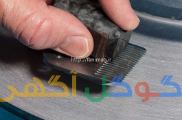 دستگاه تیزکنی  تیغه ماشین اصلاح 