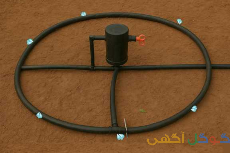 اجرای سیستم آبیاری زیرسطحی واترسوآب