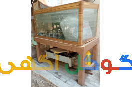 فروش آکواریوم خانگی