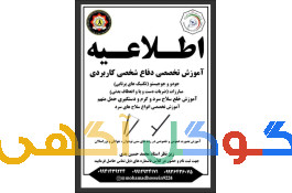 اموزش دفاع شخصی 