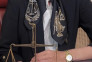 وکیل حرفه ای 