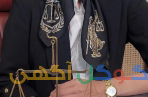 وکیل حرفه ای 