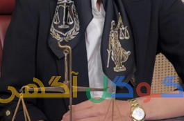 وکیل حرفه ای 