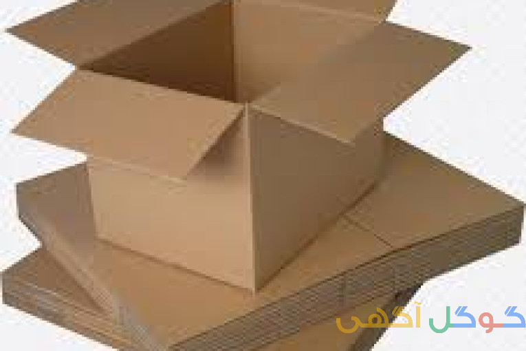 کارتن سازی کوشا