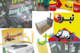 چسب و تله موش در انواع مختلف