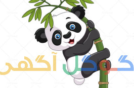 زبان چینی 