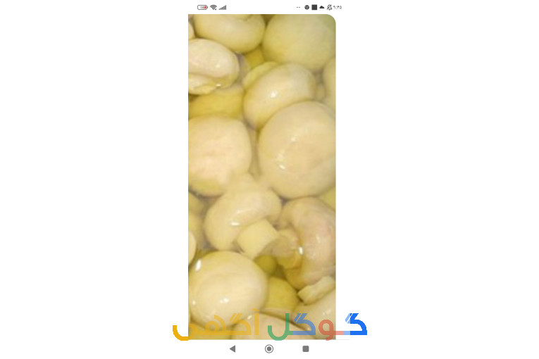 تولیدی بلنچ و قارچ 