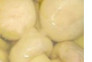 تولیدی بلنچ و قارچ 