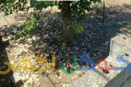  زمین مسکونی سند تک برگ