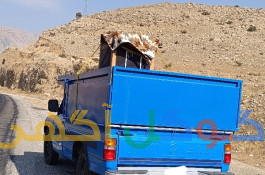 راننده حمل بار 