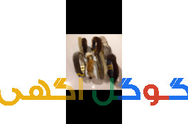 دستبند پوست طبیعی
