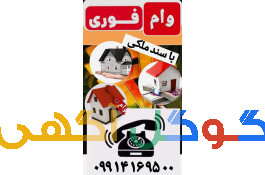 پرداخت فوری، پول /سرمایه 