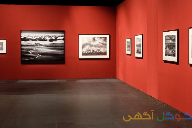 اجاره فضاهای نمایشگاهی مجازی ویژه هنرمندان