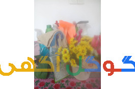 شرکت دفتر خدماتی و نظافتی نسیم شمال