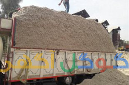 کاه نیشکرباگاس