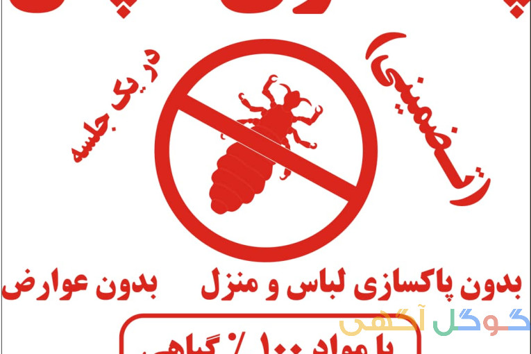 درمان شپش موی سر 