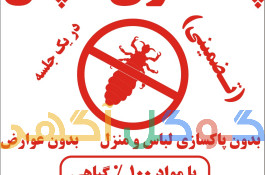 درمان شپش موی سر 