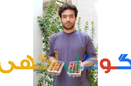فروش خرما کبکاب درجه یک دشتستان