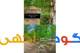 ۳۰۰متر باغچه خسروان جنب آیینه ورزان 