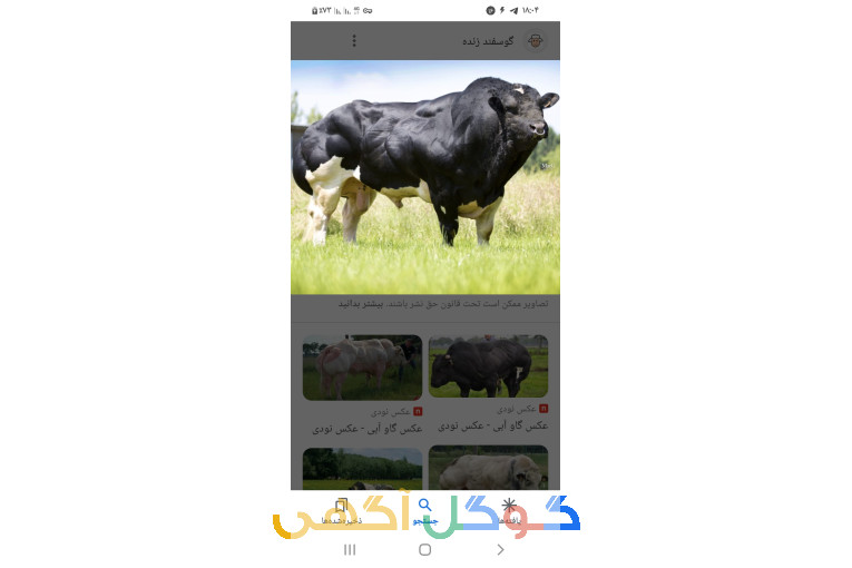  خدمات تلقیح مصنوعی شعبانی