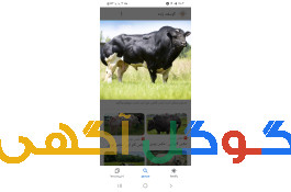  خدمات تلقیح مصنوعی شعبانی