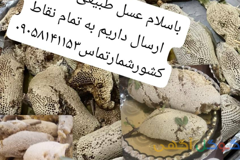 عسل طبیعی کنار وکوهستان