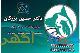 متخصص آسیب شناسی دام کوچک