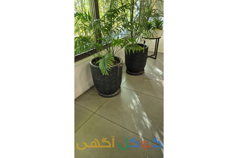 باغبانی و فضای سبز 