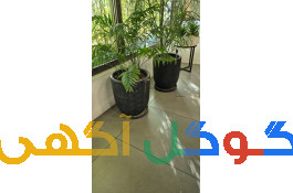 باغبانی و فضای سبز 