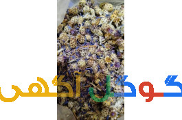 گیاهان دارویی