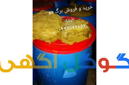 فروش برگ مو عزیزی