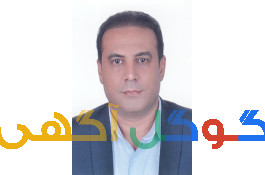 وکیل دادگستری