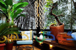 طرح و اجرای سازه های چوبی 