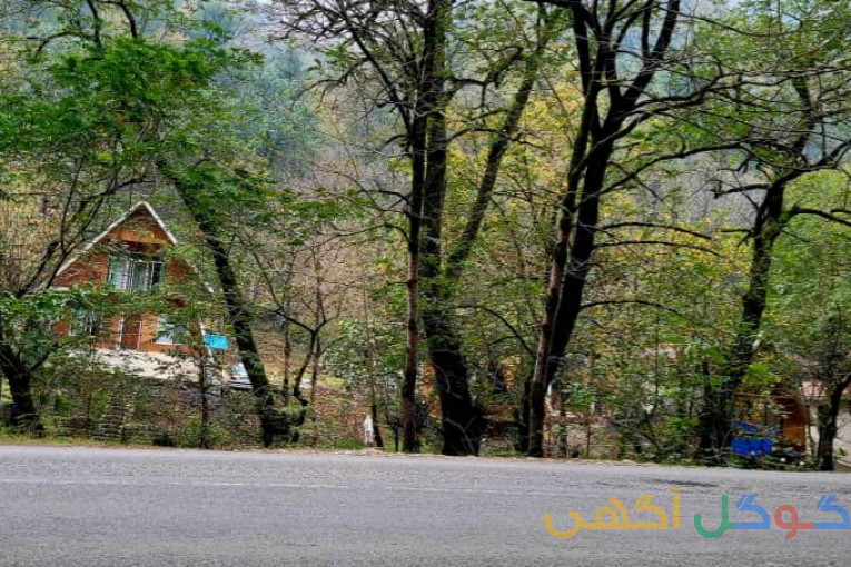 اجاره کلبه چوبی 