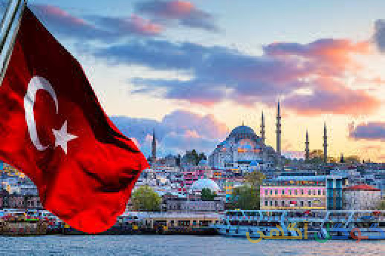 ترجمه تضمینی ترکی استانبولی به فارسی و بالعکس 