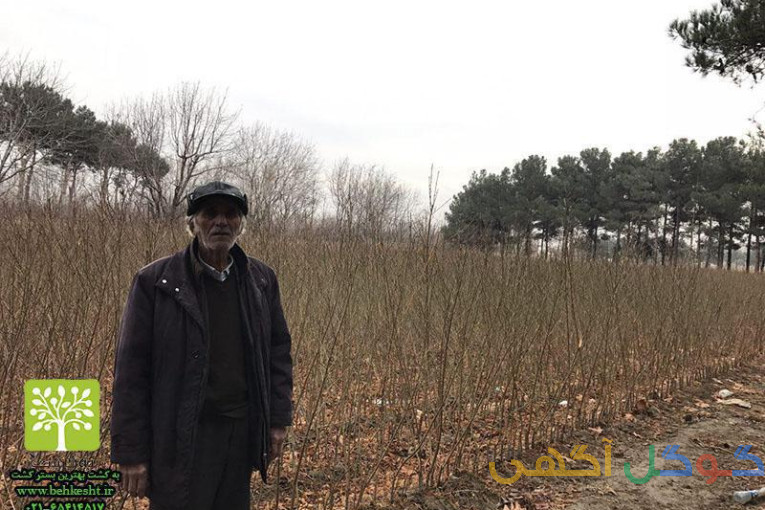 فروش انواع کودهای شیمیایی ، NPK ، کود دامی ، خاک گلدان ، سم ، بذر ، نهال ، نشا ، ادوات و ابزار آلات کشاورزی