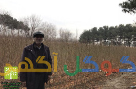 فروش انواع کودهای شیمیایی ، NPK ، کود دامی ، خاک گلدان ، سم ، بذر ، نهال ، نشا ، ادوات و ابزار آلات کشاورزی